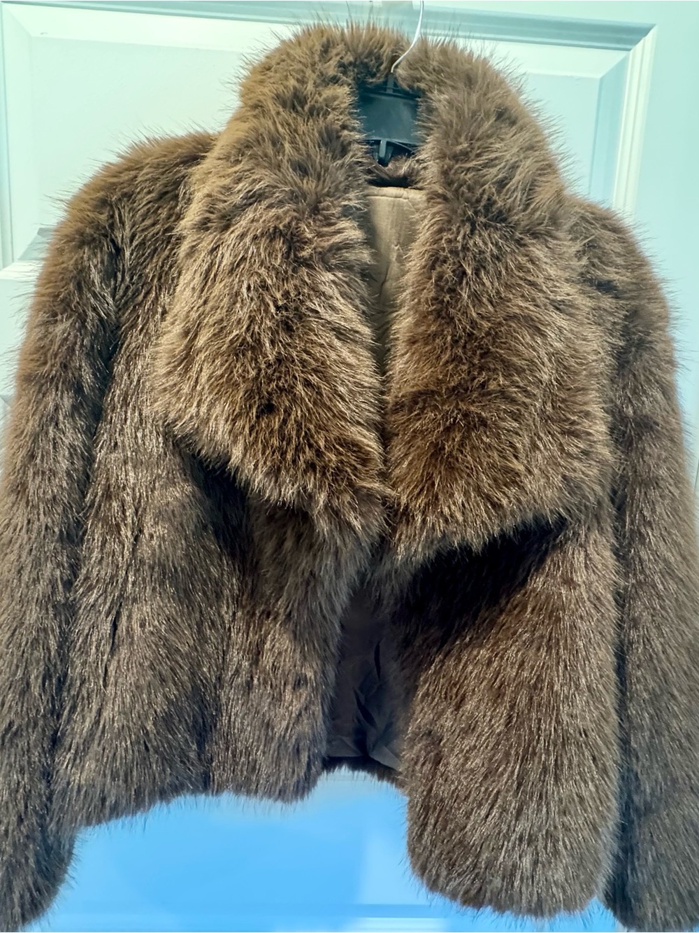 Brown Faux Fur Cropped Jacket - Women